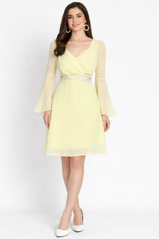 Lemon Lace Work Dress with Lining
